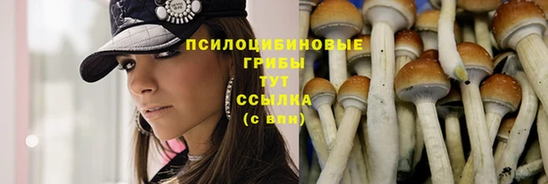 mdma Верхний Тагил